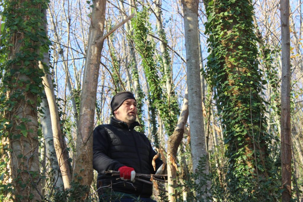 SPERONE. Il taglio del Maio di Sant’Elia. Le foto più belle di Francesco Piccolo