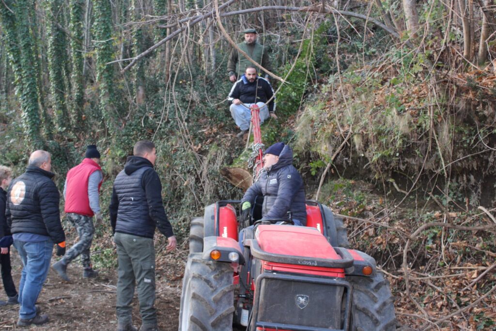 SPERONE. Il taglio del Maio di Sant’Elia. Le foto più belle di Francesco Piccolo