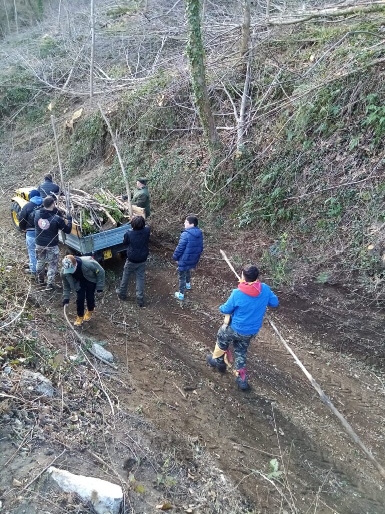 SPERONE. Il taglio del Maio di Sant’Elia. Le foto più belle di Francesco Piccolo