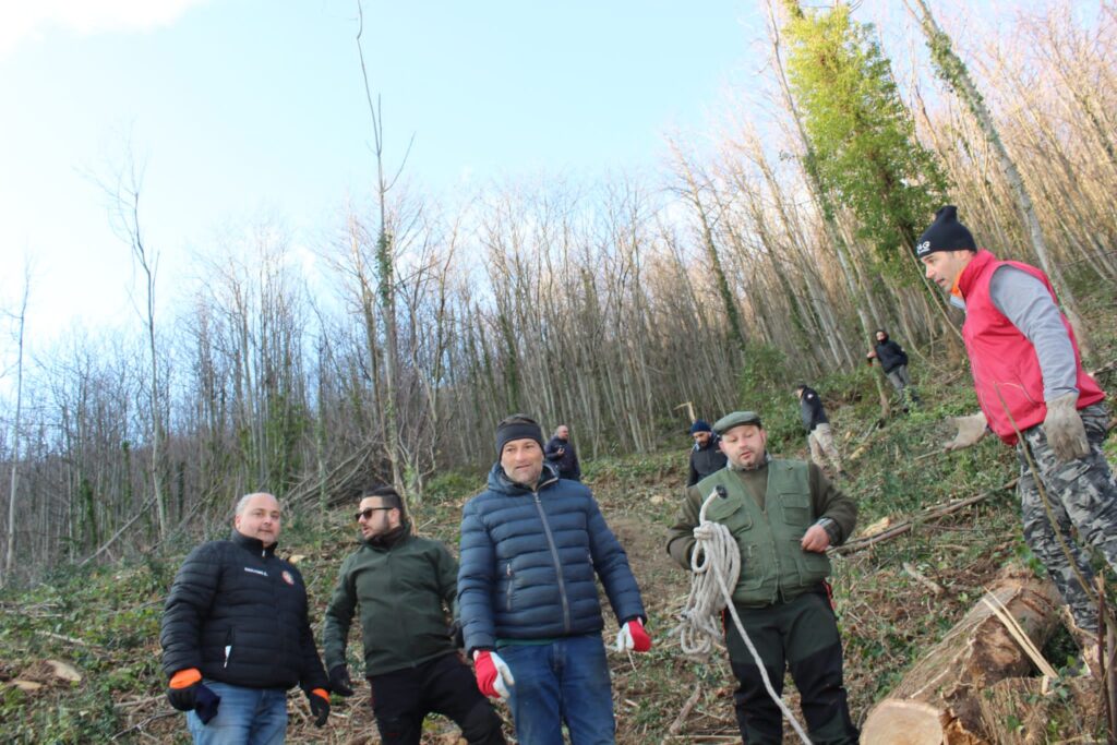 SPERONE. Il taglio del Maio di Sant’Elia. Le foto più belle di Francesco Piccolo