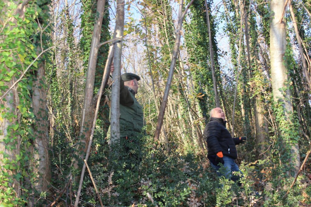 SPERONE. Il taglio del Maio di Sant’Elia. Le foto più belle di Francesco Piccolo