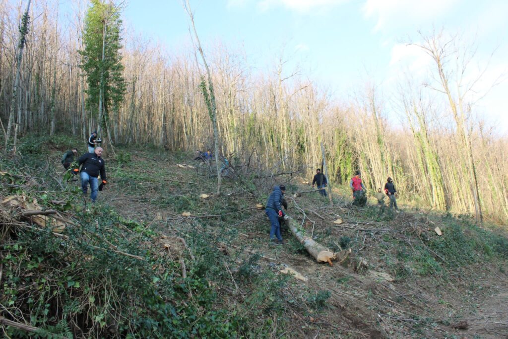 SPERONE. Il taglio del Maio di Sant’Elia. Le foto più belle di Francesco Piccolo