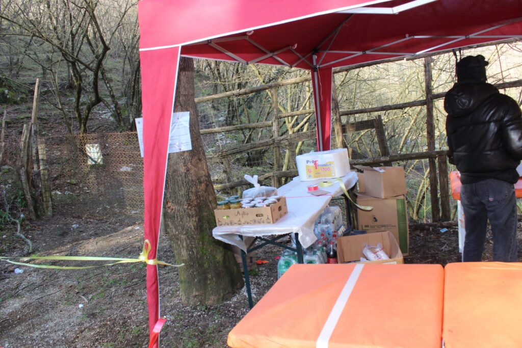 SPERONE. Il taglio del Maio di Sant’Elia. Le foto più belle di Francesco Piccolo