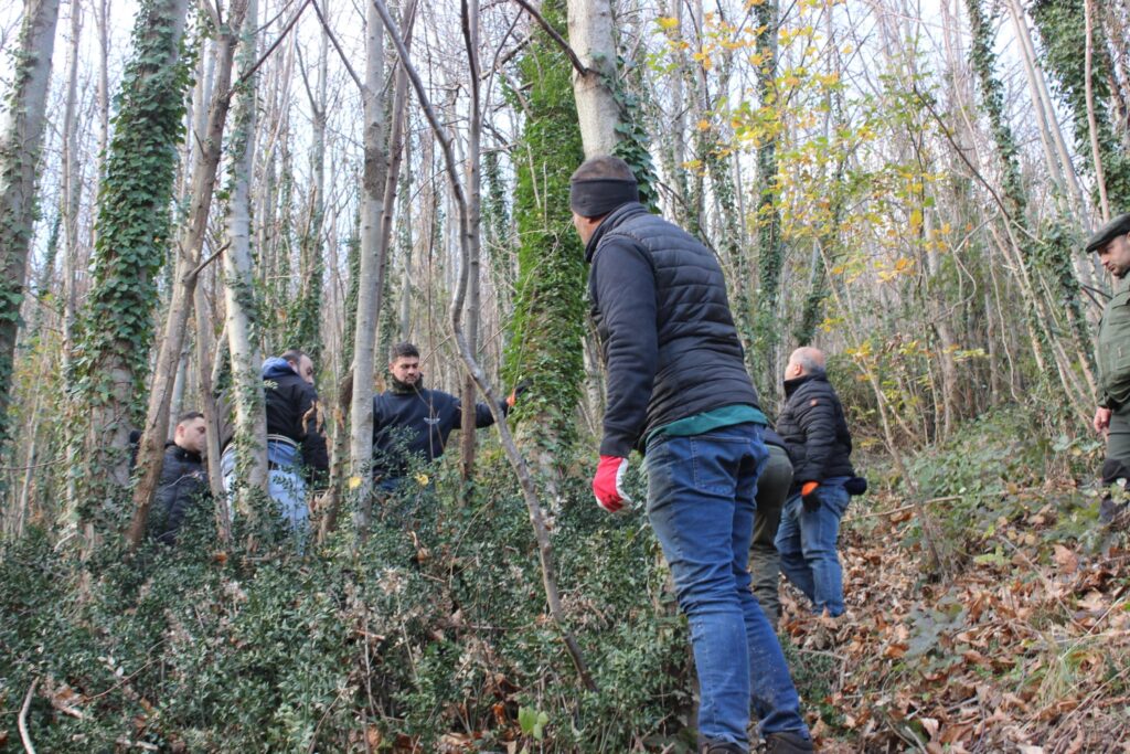 SPERONE. Il taglio del Maio di Sant’Elia. Le foto più belle di Francesco Piccolo