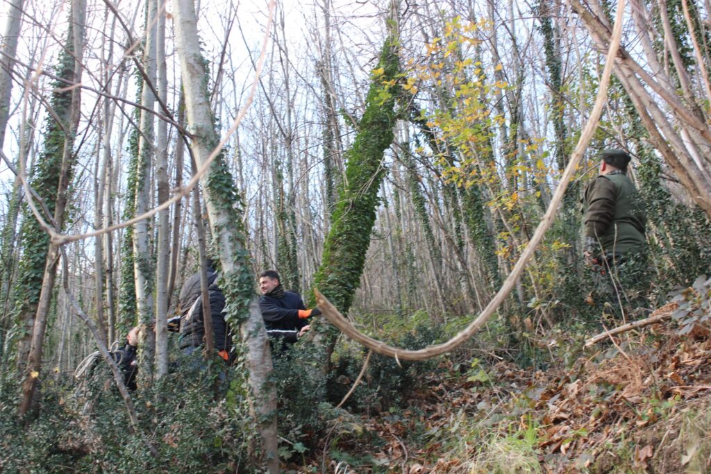 SPERONE. Il taglio del Maio di Sant’Elia. Le foto più belle di Francesco Piccolo