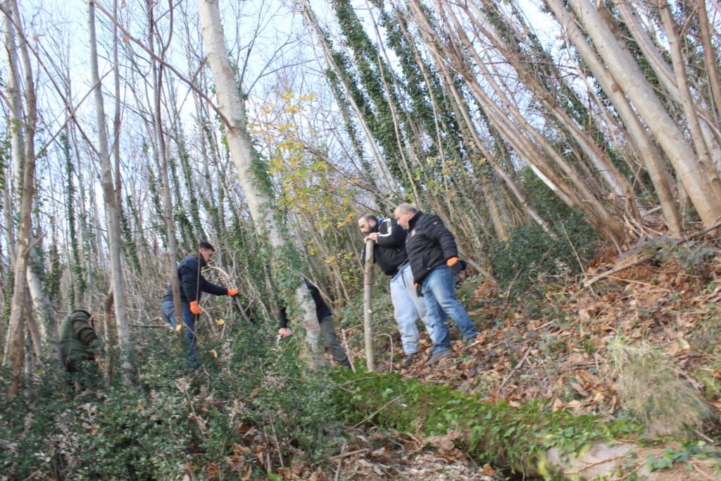 SPERONE. Il taglio del Maio di Sant’Elia. Le foto più belle di Francesco Piccolo