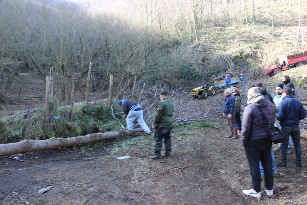 SPERONE. Il taglio del Maio di Sant’Elia. Le foto più belle di Francesco Piccolo