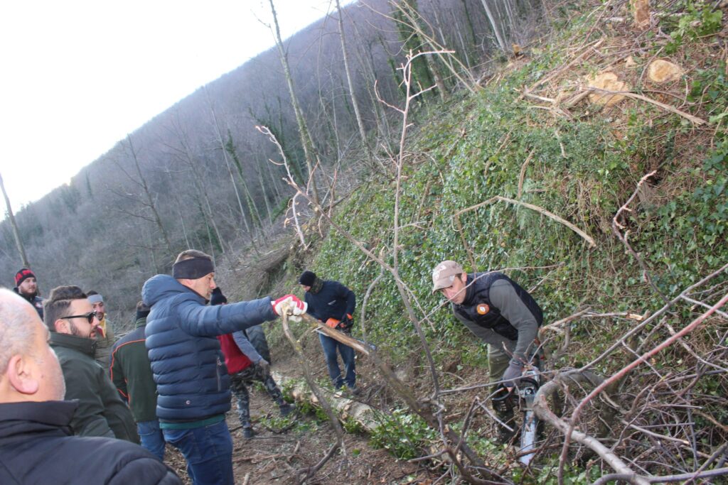 SPERONE. Il taglio del Maio di Sant’Elia. Le foto più belle di Francesco Piccolo