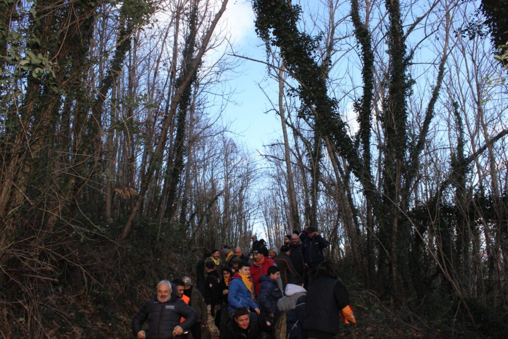 SPERONE. Il taglio del Maio di Sant’Elia. Le foto più belle di Francesco Piccolo