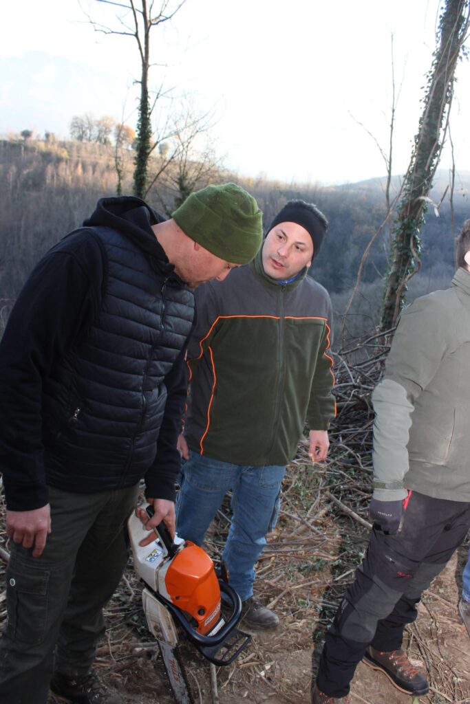 SPERONE. Il taglio del Maio di Sant’Elia. Le foto più belle di Francesco Piccolo
