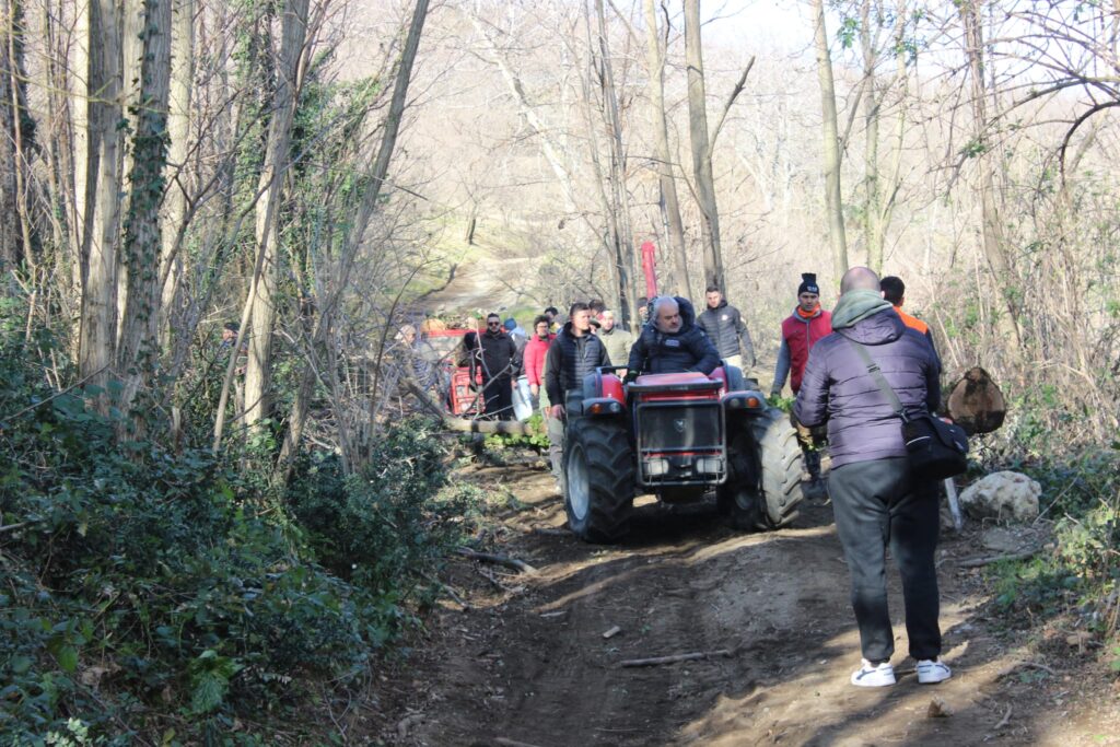 SPERONE. Il taglio del Maio di Sant’Elia. Le foto più belle di Francesco Piccolo