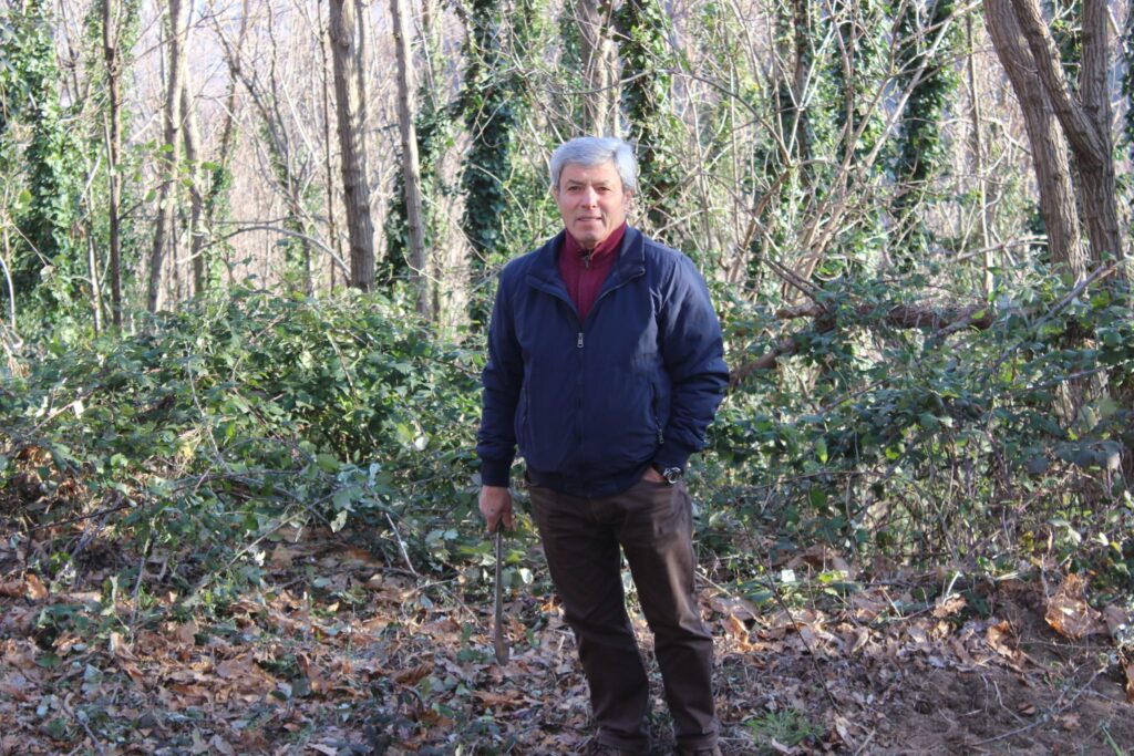 SPERONE. Il taglio del Maio di Sant’Elia. Le foto più belle di Francesco Piccolo