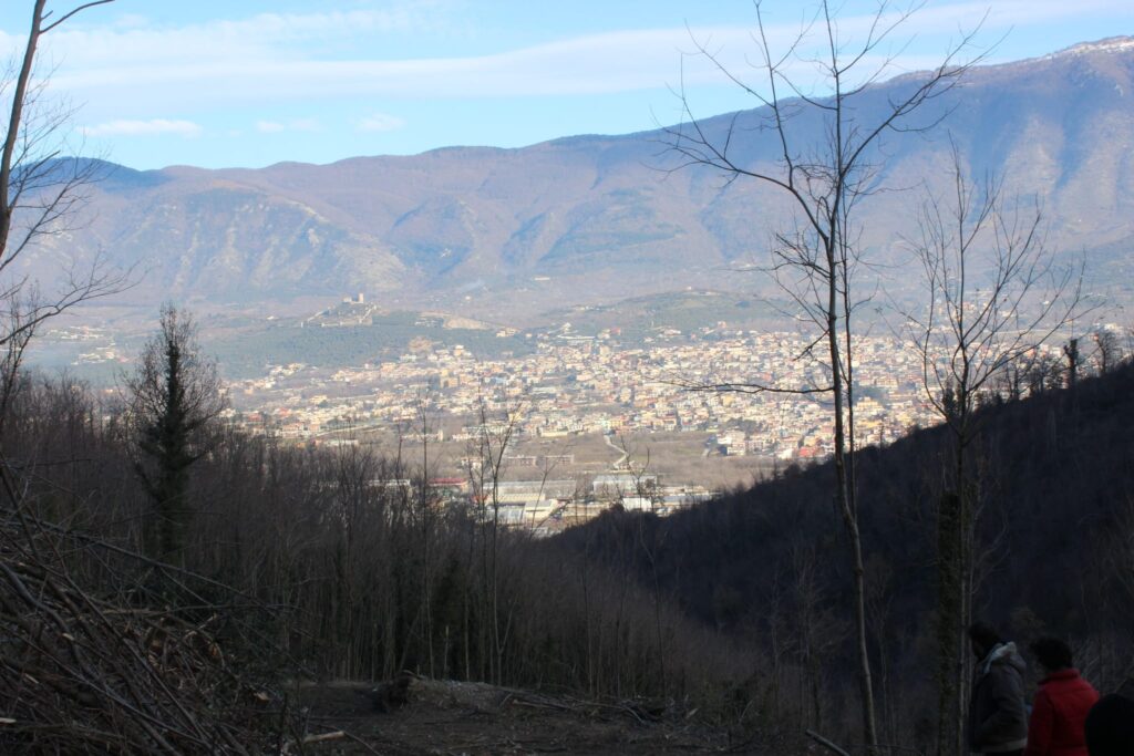 SPERONE. Il taglio del Maio di Sant’Elia. Le foto più belle di Francesco Piccolo
