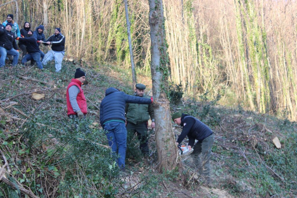 SPERONE. Il taglio del Maio di Sant’Elia. Le foto più belle di Francesco Piccolo
