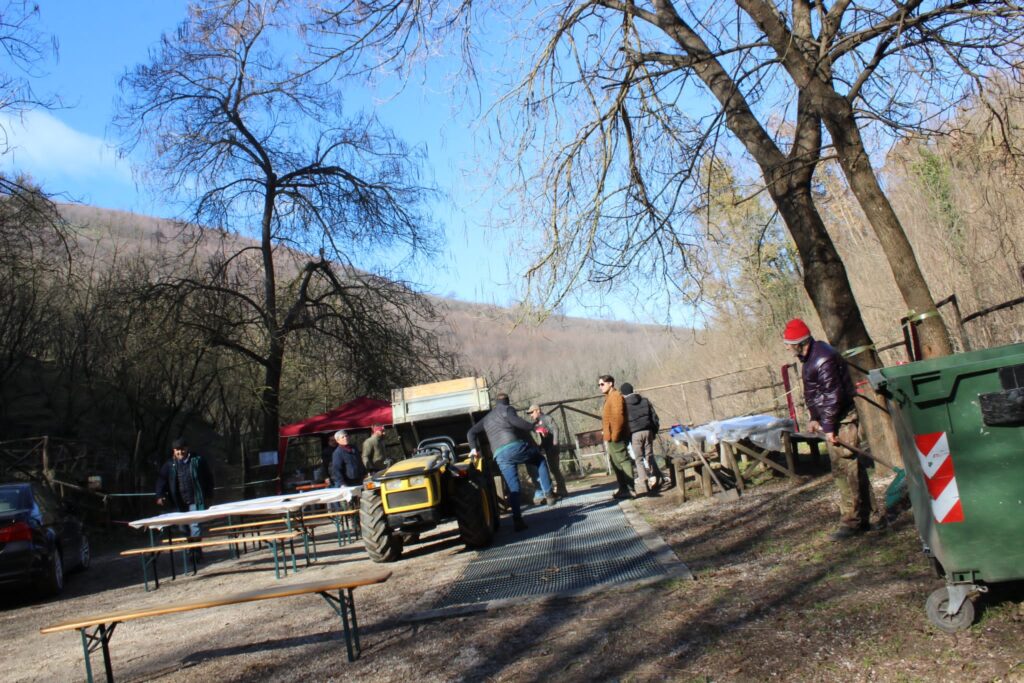 SPERONE. Il taglio del Maio di Sant’Elia. Le foto più belle di Francesco Piccolo