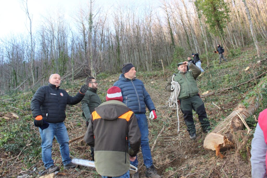 SPERONE. Il taglio del Maio di Sant’Elia. Le foto più belle di Francesco Piccolo