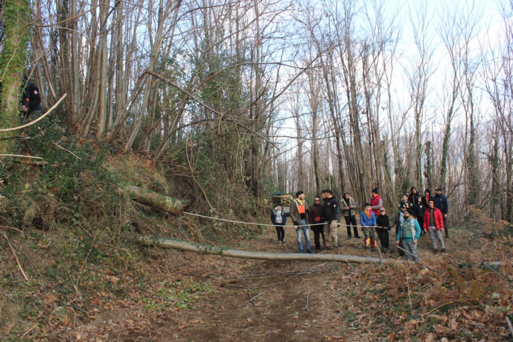 SPERONE. Il taglio del Maio di Sant’Elia. Le foto più belle di Francesco Piccolo