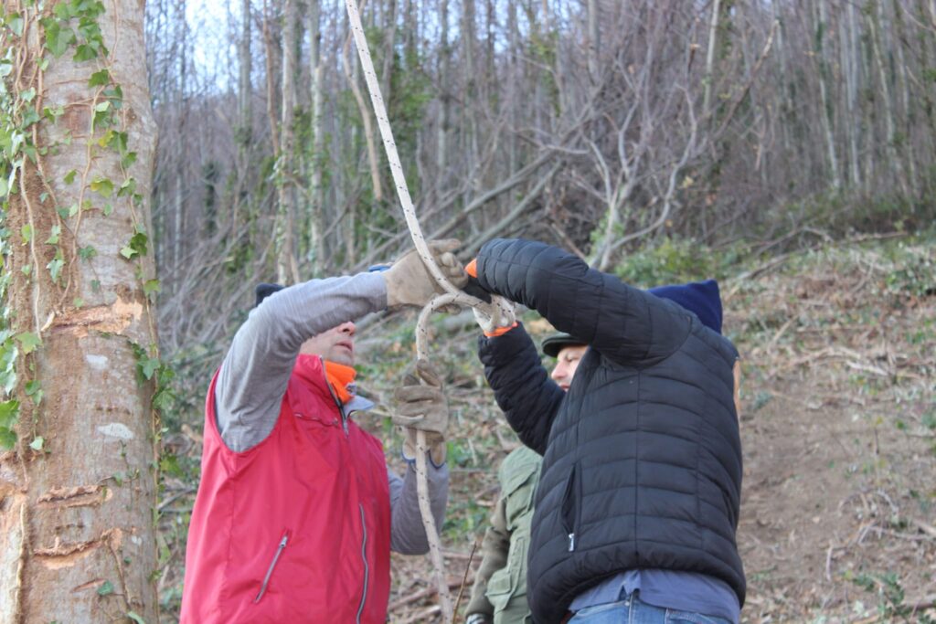 SPERONE. Il taglio del Maio di Sant’Elia. Le foto più belle di Francesco Piccolo