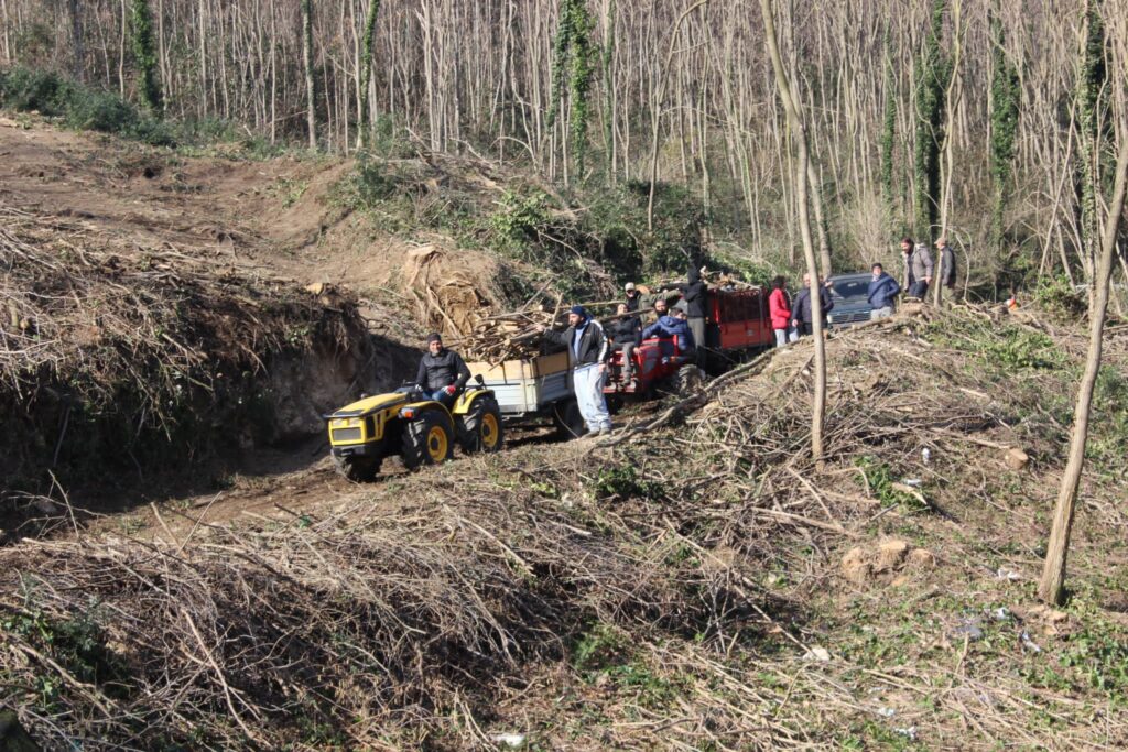 SPERONE. Il taglio del Maio di Sant’Elia. Le foto più belle di Francesco Piccolo