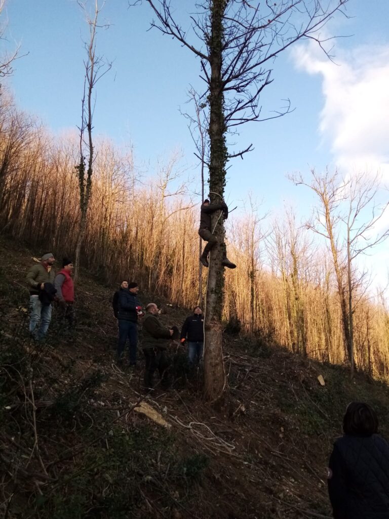 SPERONE. Il taglio del Maio di Sant’Elia. Le foto più belle di Francesco Piccolo