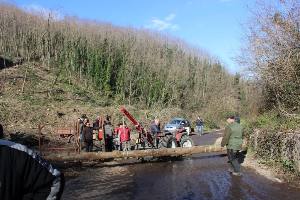 SPERONE. Il taglio del Maio di Sant’Elia. Le foto più belle di Francesco Piccolo