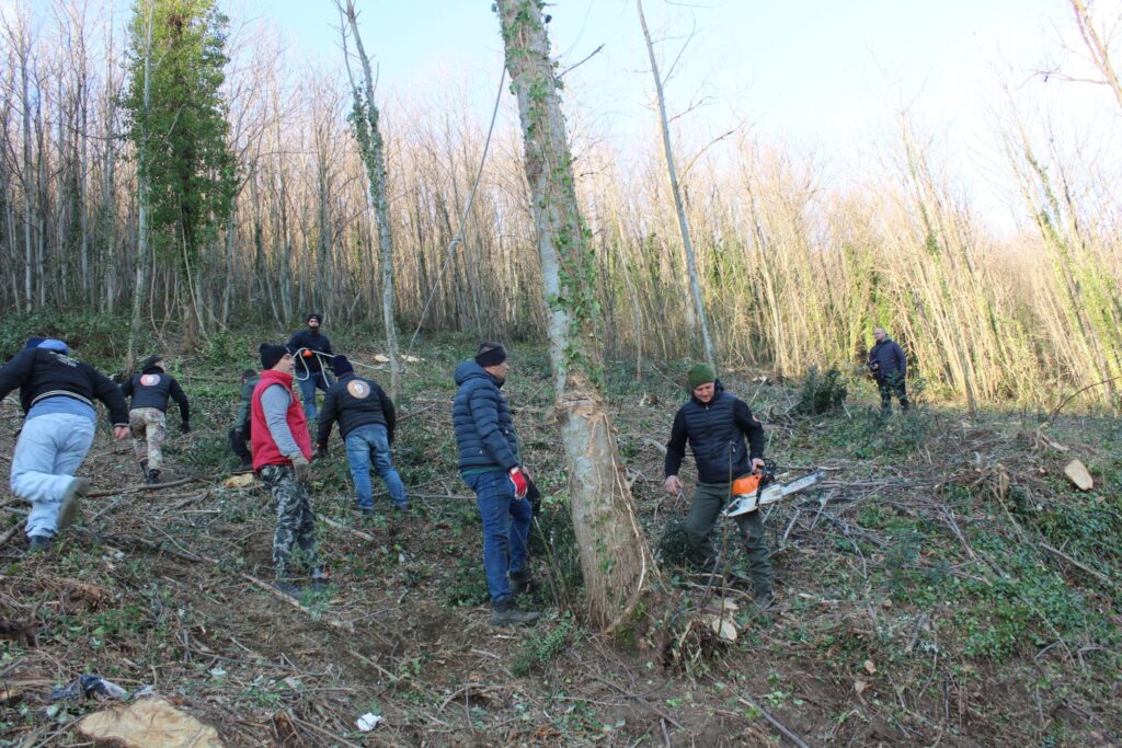 SPERONE. Il taglio del Maio di Sant’Elia. Le foto più belle di Francesco Piccolo