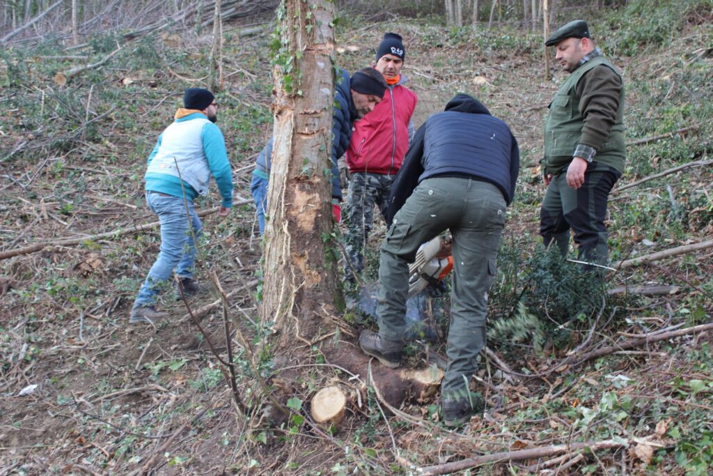 SPERONE. Il taglio del Maio di Sant’Elia. Le foto più belle di Francesco Piccolo