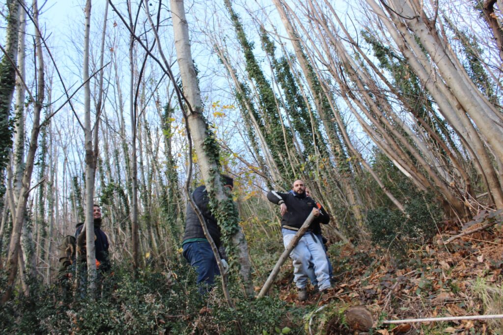 SPERONE. Il taglio del Maio di Sant’Elia. Le foto più belle di Francesco Piccolo