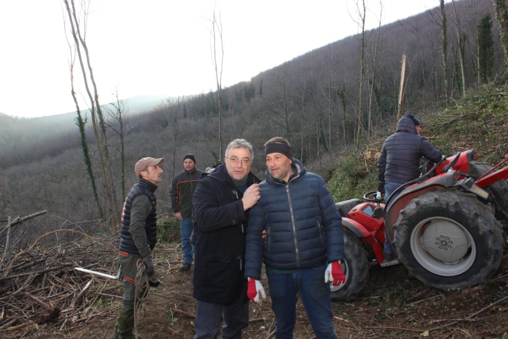 SPERONE. Il taglio del Maio di Sant’Elia. Le foto più belle di Francesco Piccolo
