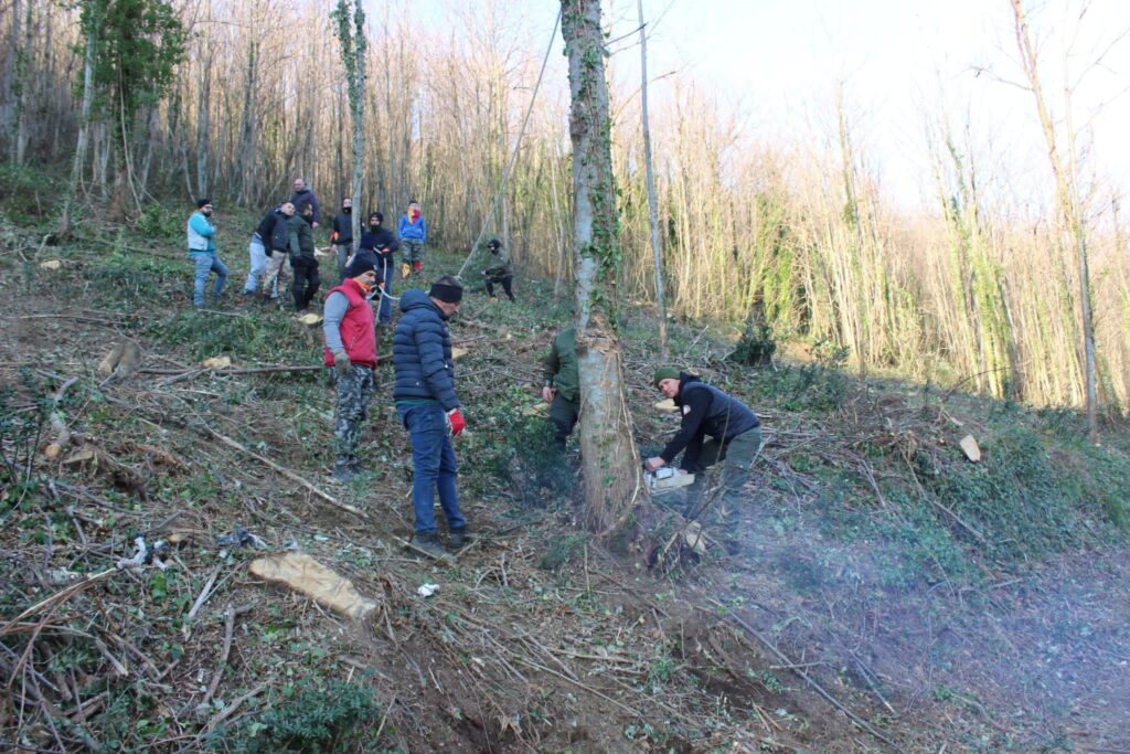 SPERONE. Il taglio del Maio di Sant’Elia. Le foto più belle di Francesco Piccolo