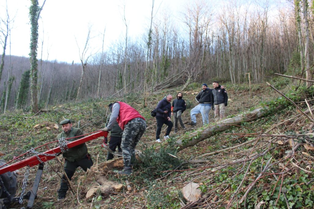 SPERONE. Il taglio del Maio di Sant’Elia. Le foto più belle di Francesco Piccolo