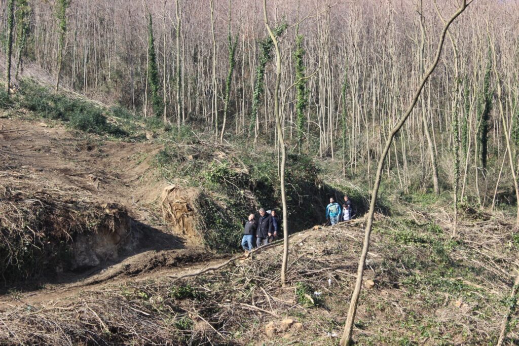 SPERONE. Il taglio del Maio di Sant’Elia. Le foto più belle di Francesco Piccolo