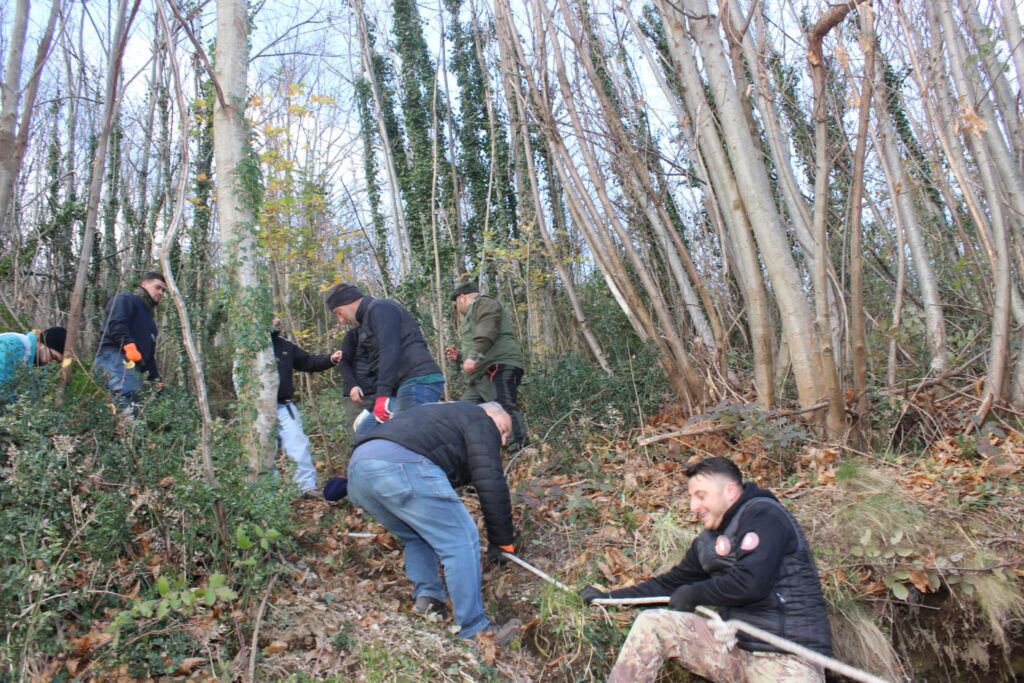 SPERONE. Il taglio del Maio di Sant’Elia. Le foto più belle di Francesco Piccolo