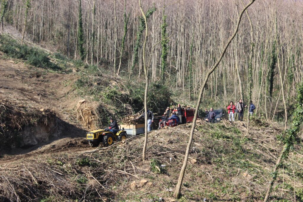 SPERONE. Il taglio del Maio di Sant’Elia. Le foto più belle di Francesco Piccolo