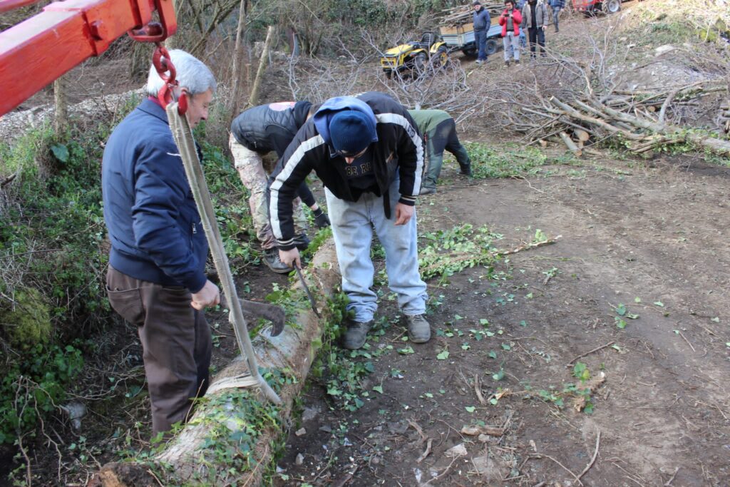 SPERONE. Il taglio del Maio di Sant’Elia. Le foto più belle di Francesco Piccolo