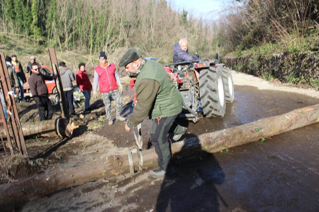 SPERONE. Il taglio del Maio di Sant’Elia. Le foto più belle di Francesco Piccolo