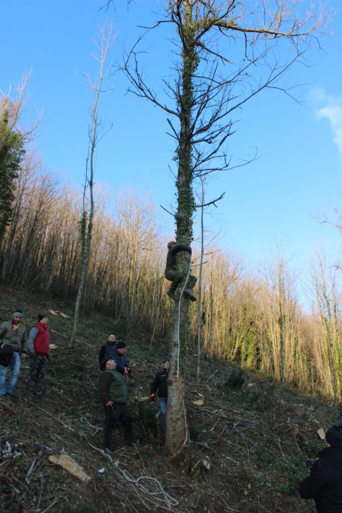 SPERONE. Il taglio del Maio di Sant’Elia. Le foto più belle di Francesco Piccolo