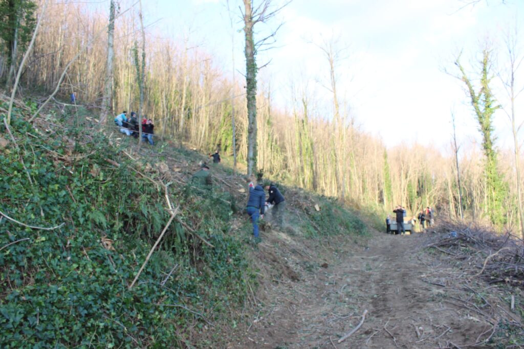 SPERONE. Il taglio del Maio di Sant’Elia. Le foto più belle di Francesco Piccolo