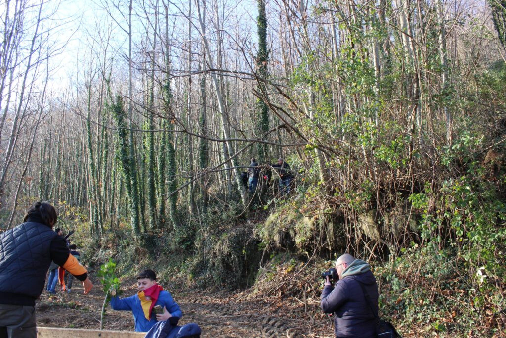 SPERONE. Il taglio del Maio di Sant’Elia. Le foto più belle di Francesco Piccolo