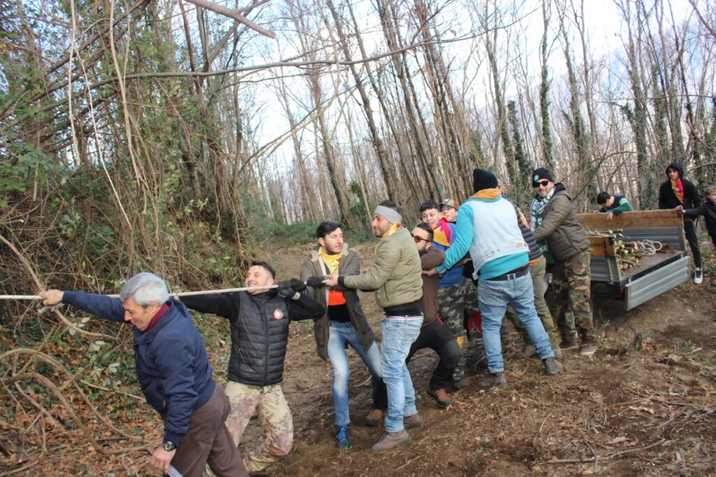 SPERONE. Il taglio del Maio di Sant’Elia. Le foto più belle di Francesco Piccolo