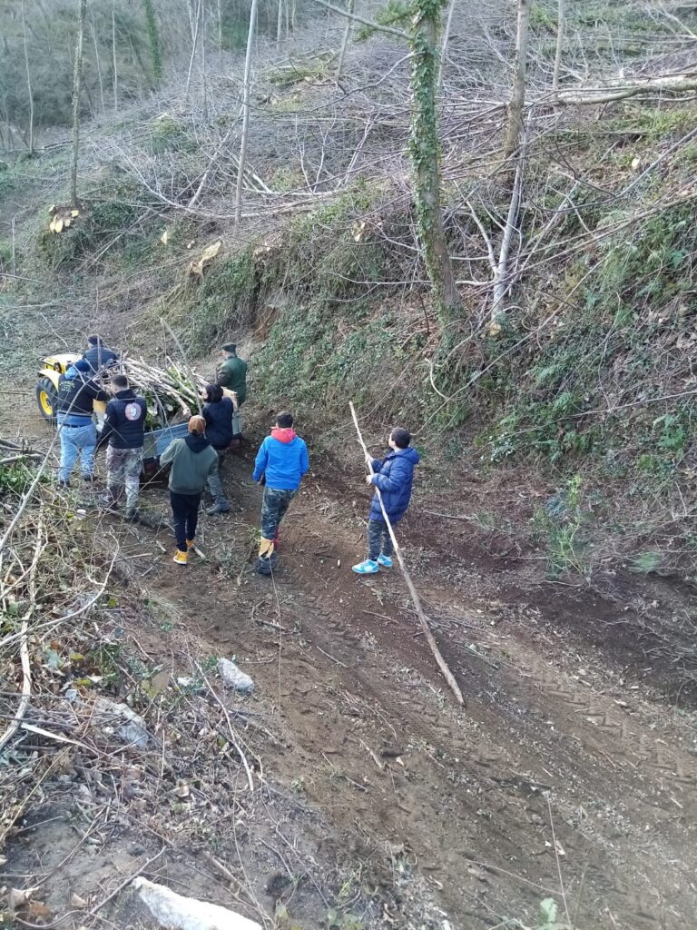 SPERONE. Il taglio del Maio di Sant’Elia. Le foto più belle di Francesco Piccolo