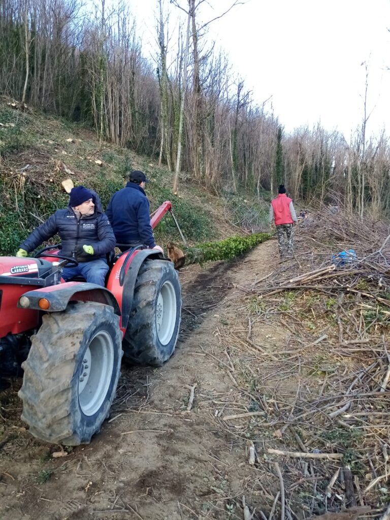 SPERONE. Il taglio del Maio di Sant’Elia. Le foto più belle di Francesco Piccolo