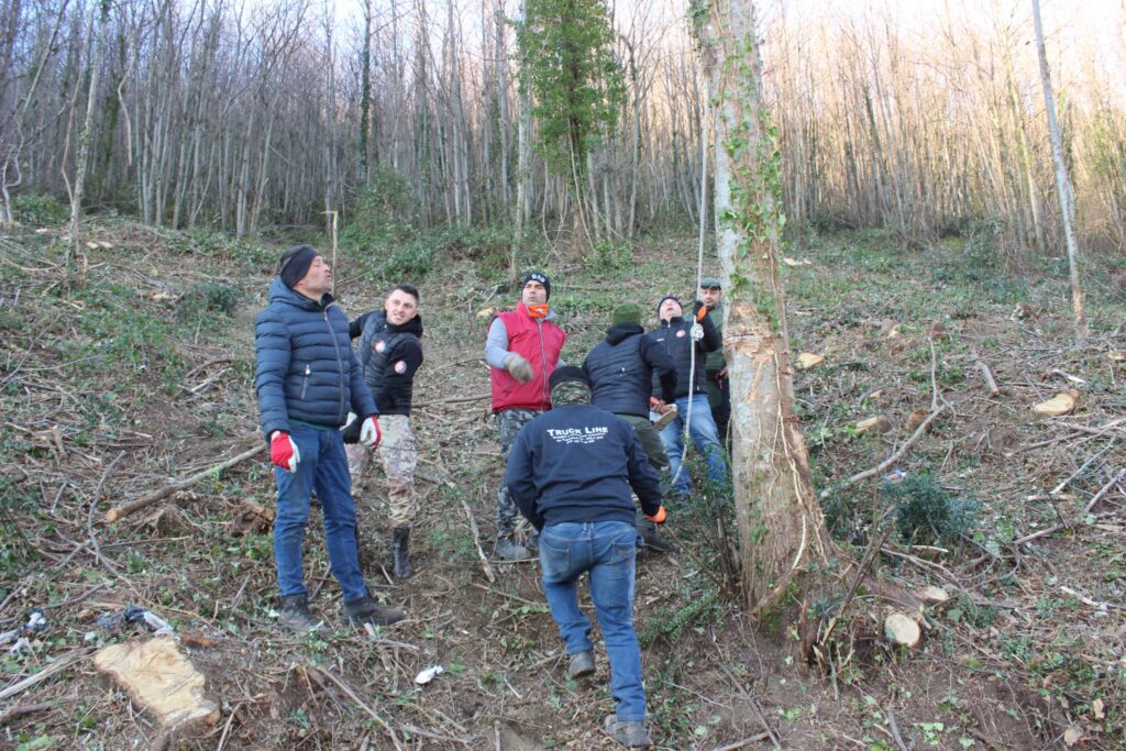 SPERONE. Il taglio del Maio di Sant’Elia. Le foto più belle di Francesco Piccolo