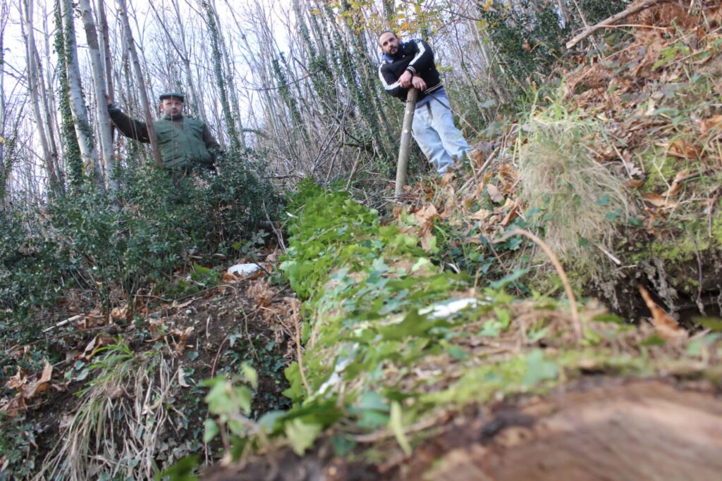 SPERONE. Il taglio del Maio di Sant’Elia. Le foto più belle di Francesco Piccolo