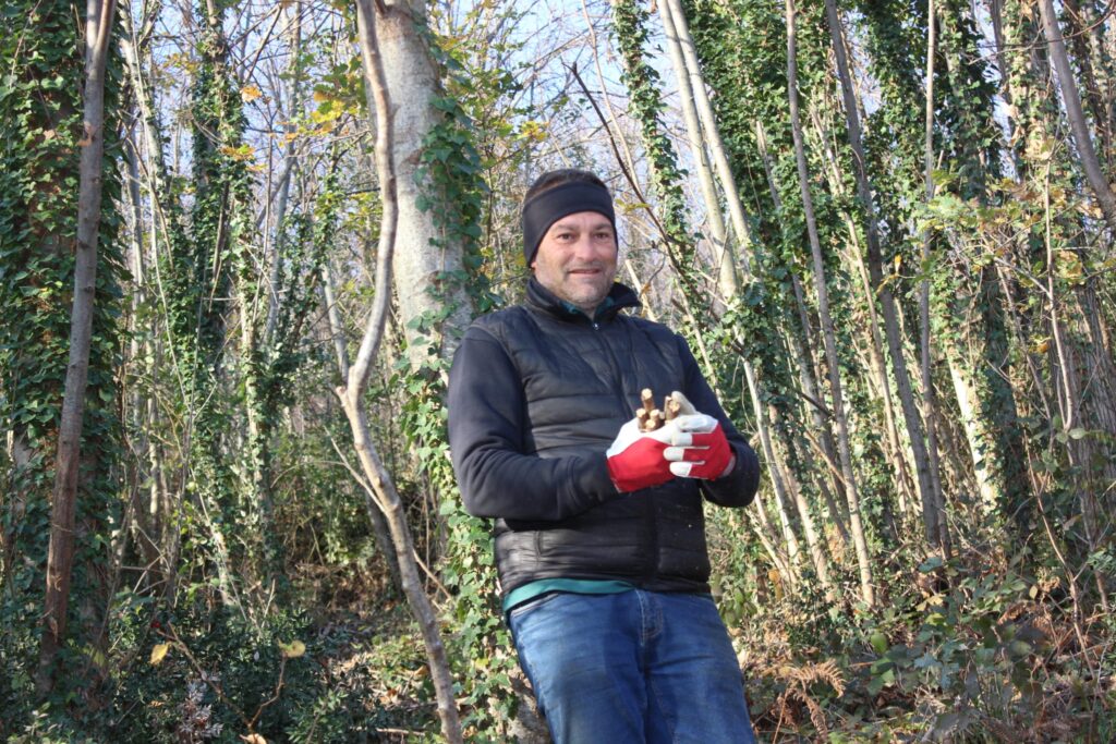 SPERONE. Il taglio del Maio di Sant’Elia. Le foto più belle di Francesco Piccolo