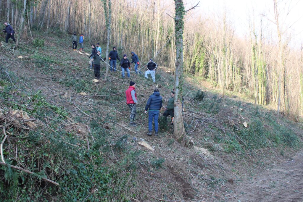 SPERONE. Il taglio del Maio di Sant’Elia. Le foto più belle di Francesco Piccolo