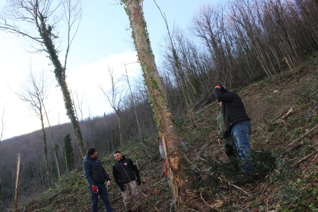 SPERONE. Il taglio del Maio di Sant’Elia. Le foto più belle di Francesco Piccolo