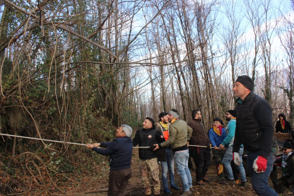 SPERONE. Il taglio del Maio di Sant’Elia. Le foto più belle di Francesco Piccolo