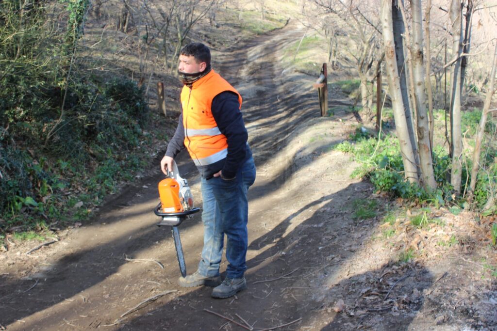 SPERONE. Il taglio del Maio di Sant’Elia. Le foto più belle di Francesco Piccolo