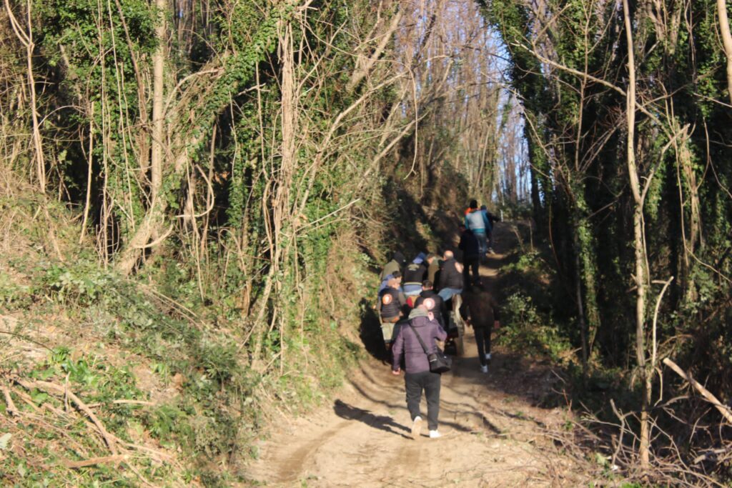 SPERONE. Il taglio del Maio di Sant’Elia. Le foto più belle di Francesco Piccolo